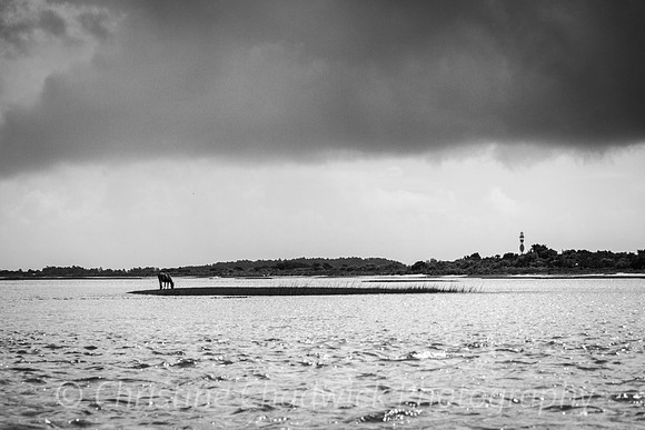 Icons of the Crystal Coast